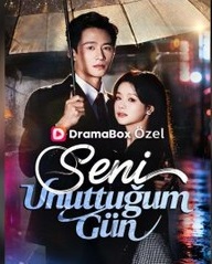 Seni Unuttuğum Gün