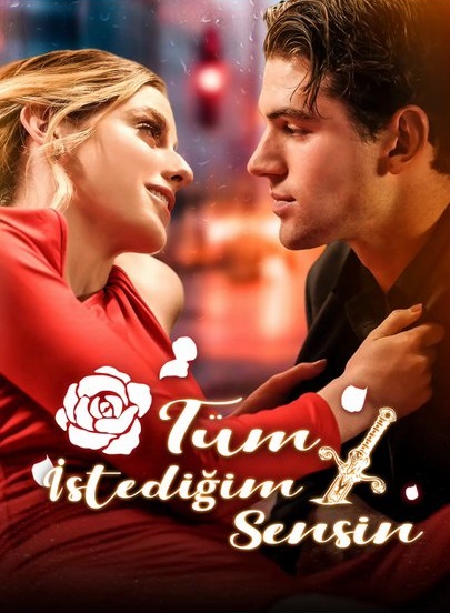 Tüm İstediğim Sensin