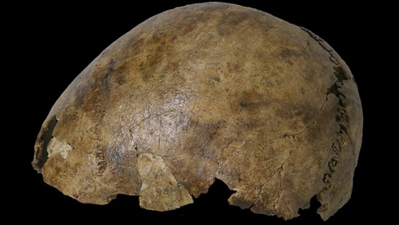  Bilim insanlarını şaşırtan keşif: Aynı iskelette 7 farklı kişiye ait izler bulundu!