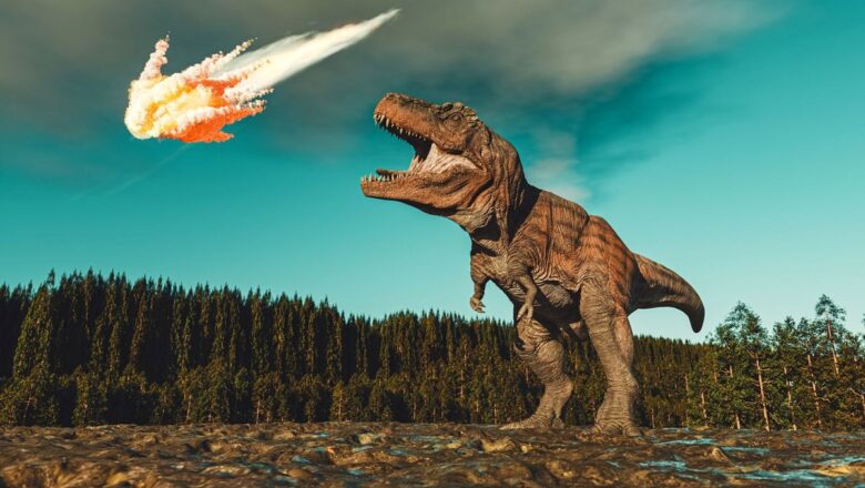  Dinozorların beslenme rutini: 200 milyon yıl önce ne yiyorlardı?