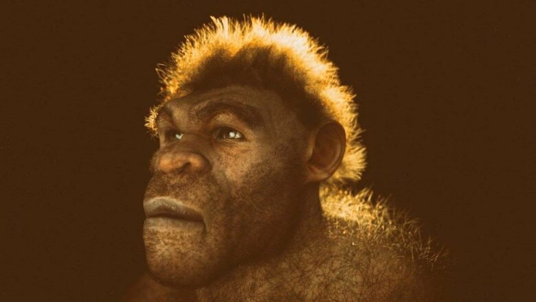  Neandertaller nasıl yok oldu? Kan grupları etkili olmuş olabilir mi?