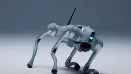 İnsan öğrenmesini taklit eden robot köpek üretildi