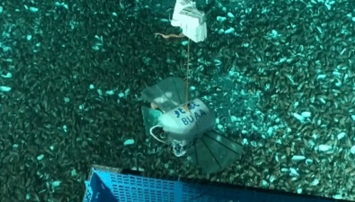 Mariana Çukuru’nda bir robot: Çinli bilim insanlarından yeni atak