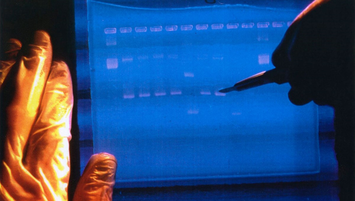 DNA’lar yeniden kodlanacak: Laboratuvarda “insan üretimi” başlıyor!