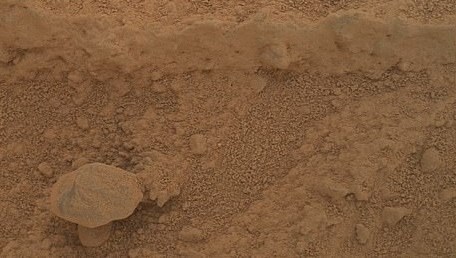 NASA fotoğrafladı: Kızıl Gezegen’de yetişen gizemli mantar