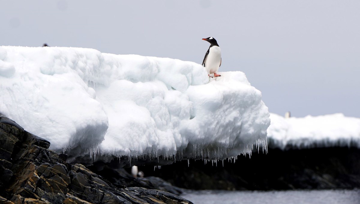 1,5 milyon yıllık buzda saklı şifre: Bilim insanları en büyük sırrı çözüyor