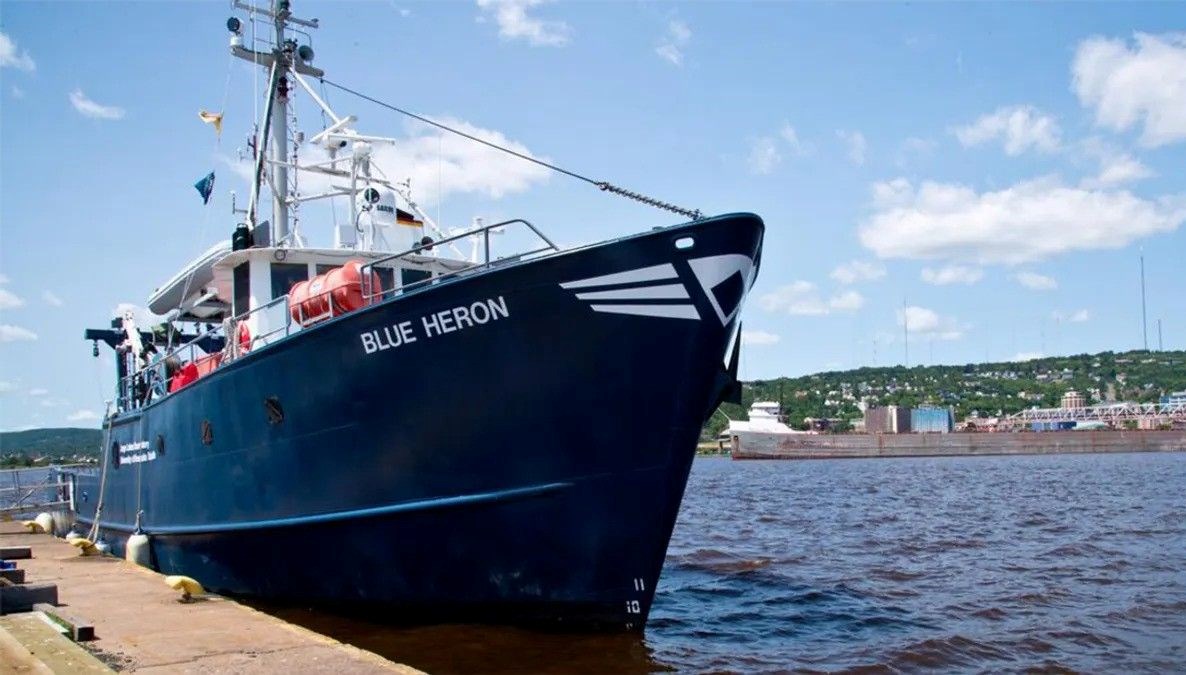 Arızalı gemide yeni yaşam formu keşfedildi: Oksijensiz hayatta kalıyor