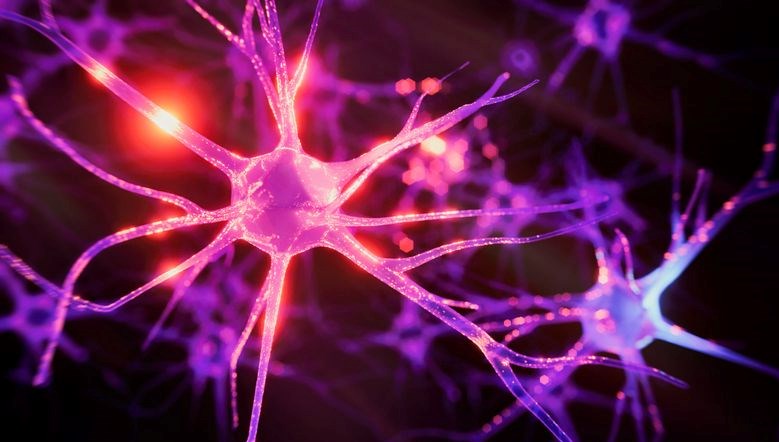 Beynin hafızası tamamen dolabilir mi?