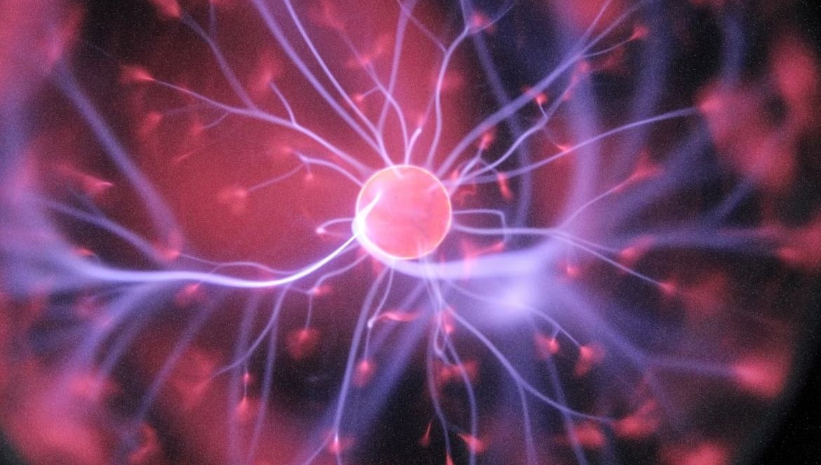 Sinirbilimciler tarih verdi: “Ölülerin beyinlerinden anıları çıkarıp almak mümkün”