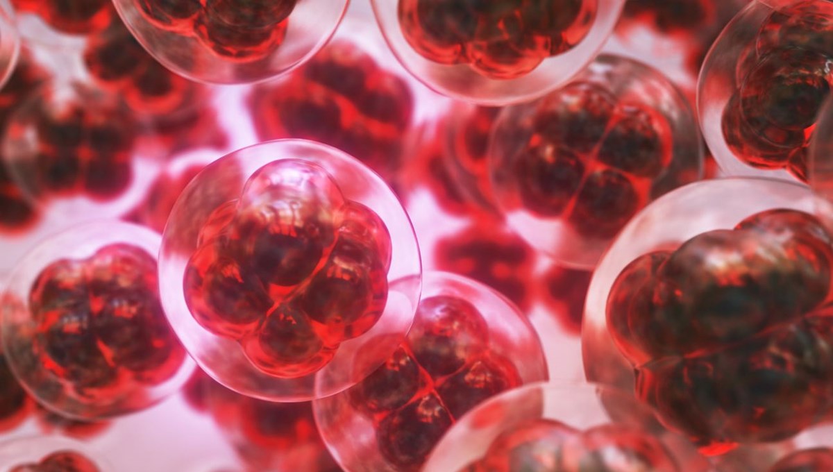 Silikon Vadisi’nde zeki bebek yarışı: Embriyo testlerine 50 bin dolar ödüyorlar