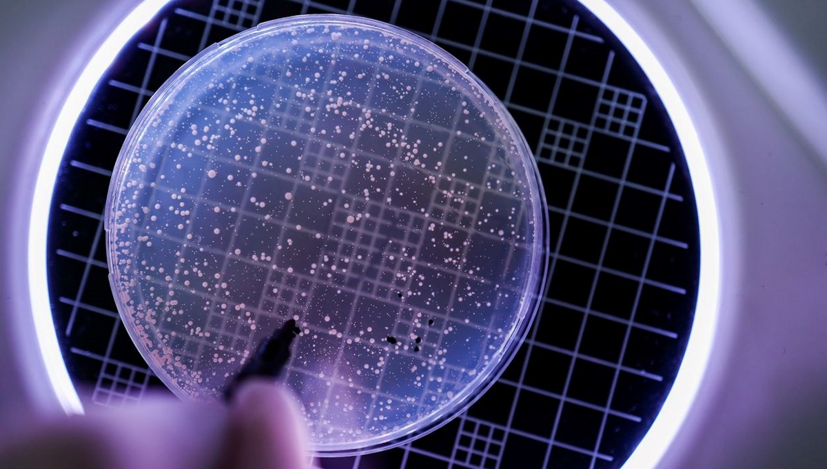 Tüm virüslere karşı etkili ilaç geliştirildi: Evrensel bağışıklık mümkün mü?