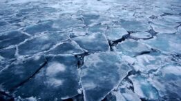 Arktik Bölgesi’nde “imkansız” sanılan bakteriler keşfedildi: Küresel ölçekte etkileri olabilir