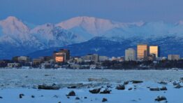 Bilim insanları yer altı tünellerinden çıkan 40 bin yıllık organizmaları uyandırdı