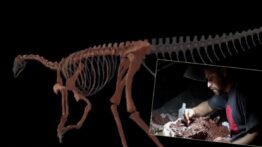 En eski dinozorun kemikleri bulundu