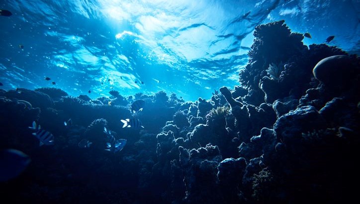 Okyanusun altından sızıyor: Antarktika’da şaşırtan keşif