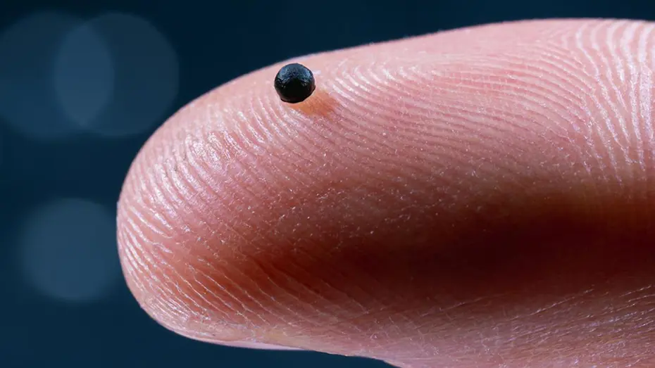 “Mikro robot” devrimi: Test başarılı oldu