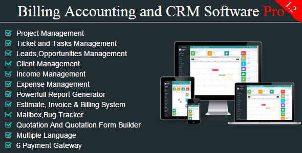 Faturalandırma Muhasebe CRM PRO ile Proje Yöneticisi