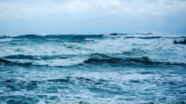 Ağır makineler Pasifik tabanını deldi. Madencilik testlerinin yıkıcı etkileri açığa çıktı