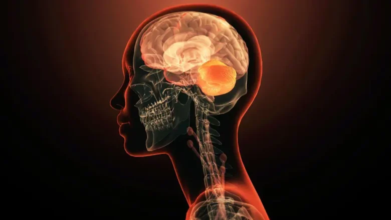  Anılarınız sandığınız kadar güvenilir olmayabilir. Beynimiz geçmişi sürekli “yeniden yazıyor”