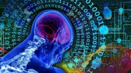 İnsanın beyin dokularıyla çalışan bilgisayarlar geliyor