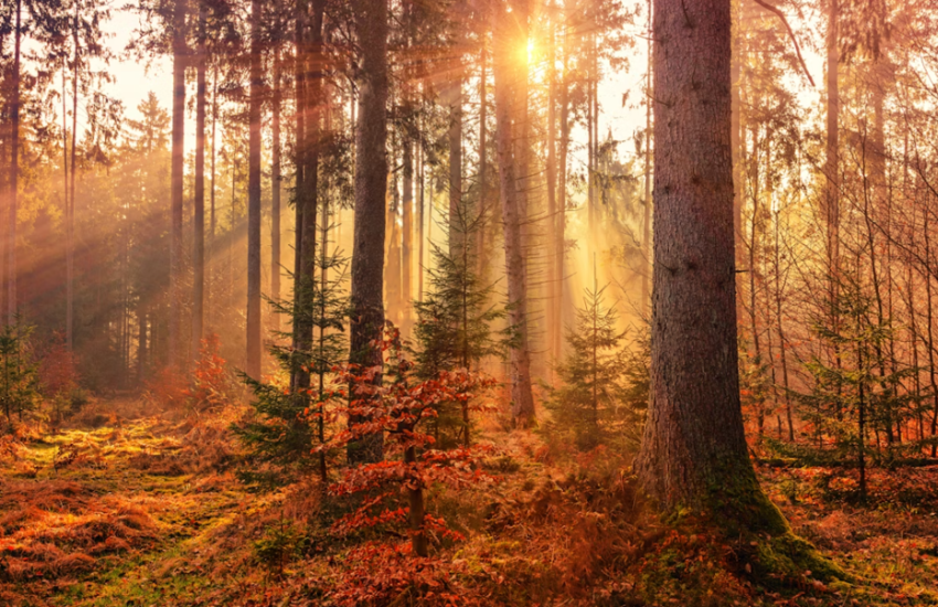 Mevsimlerin senkronize olmadığı ortaya çıktı